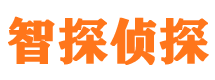 小河侦探公司